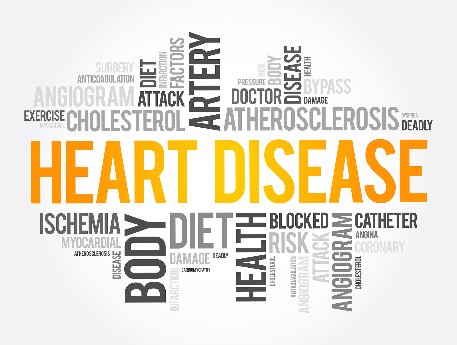 Is Your Senior Parent At Risk For Heart Disease?