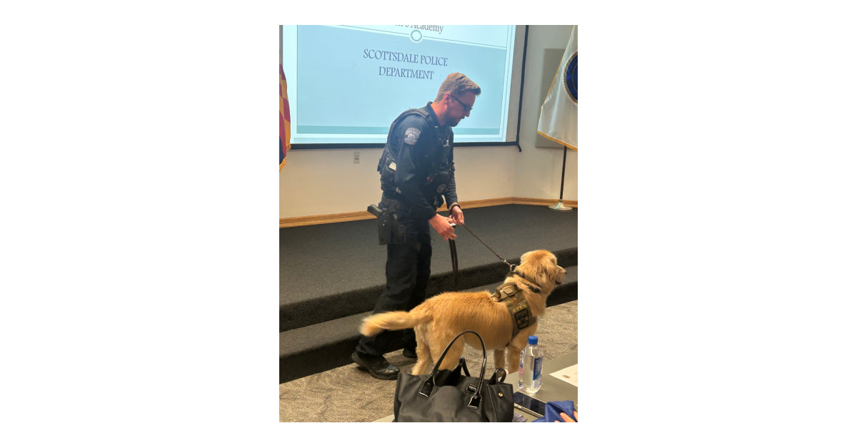 Learning from Scottsdale’s Finest