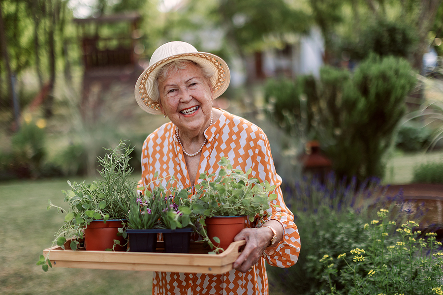How Does Gardening Benefit Older Adults?